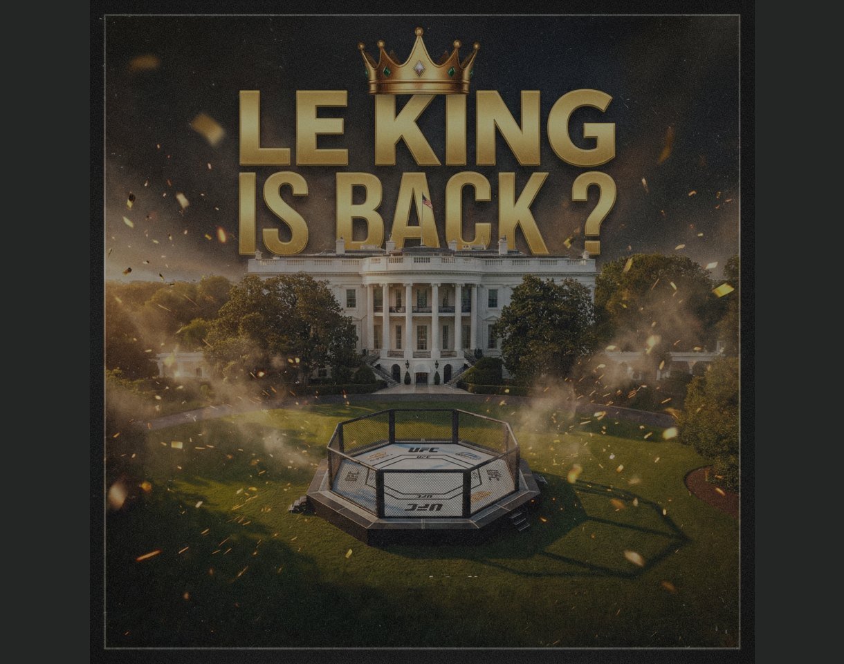 Affiche king is back ? Cage de l'UFC Maison Blanche