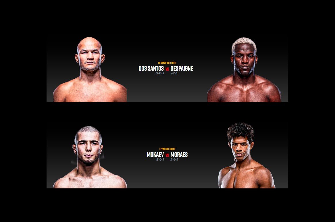 Nouveau combats MVP Netflix