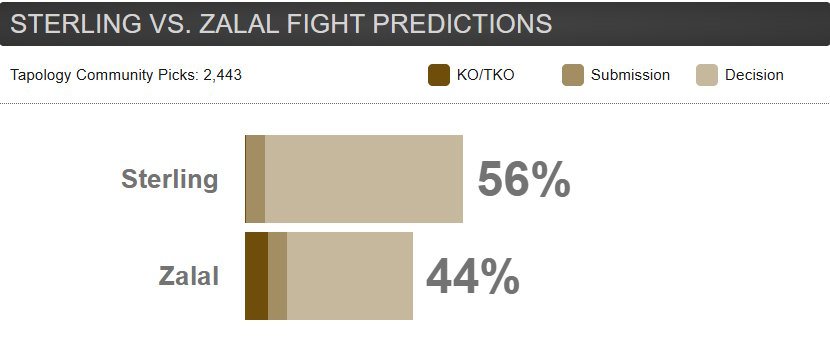 Pronostic Sterling vs Zalal : UFC Fight Night 274
