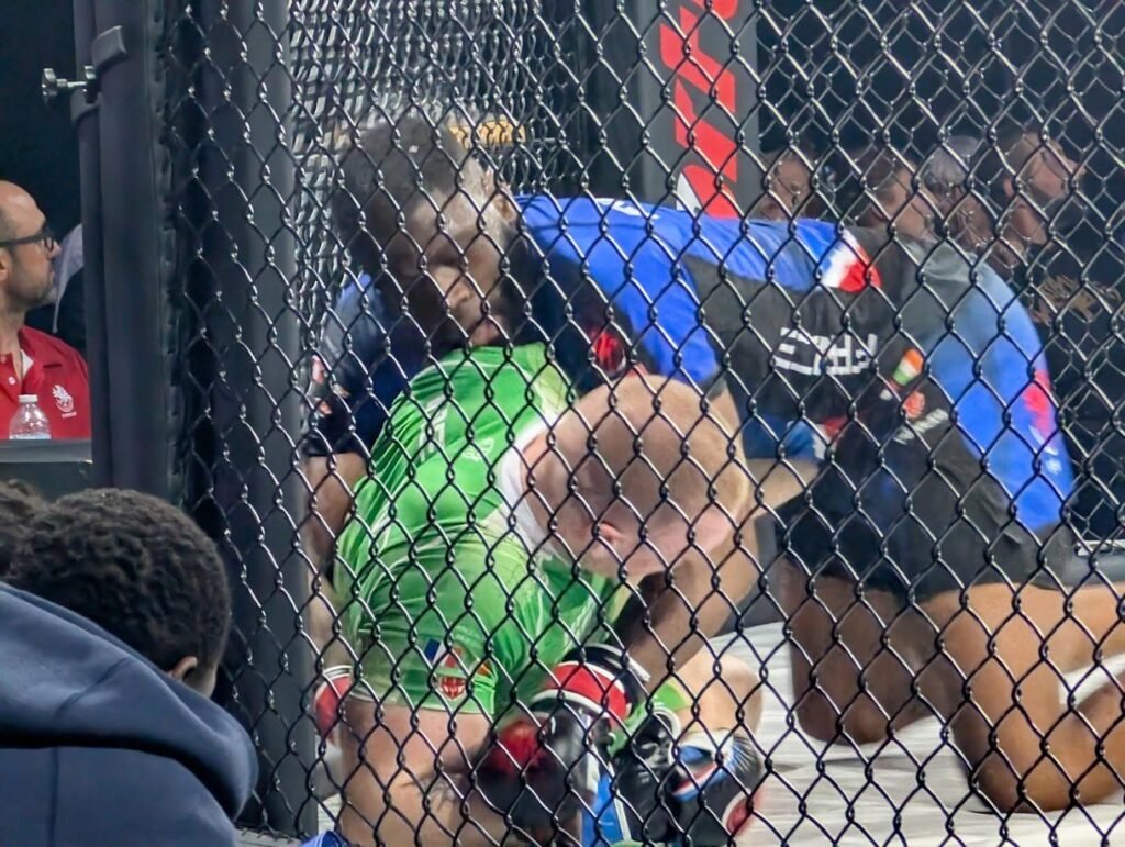 Les combattants dans une phase de sol dans la cage de MMA