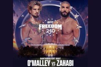 Pronostic O'Malley vs Zahabi