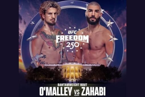 Pronostic O'Malley vs Zahabi
