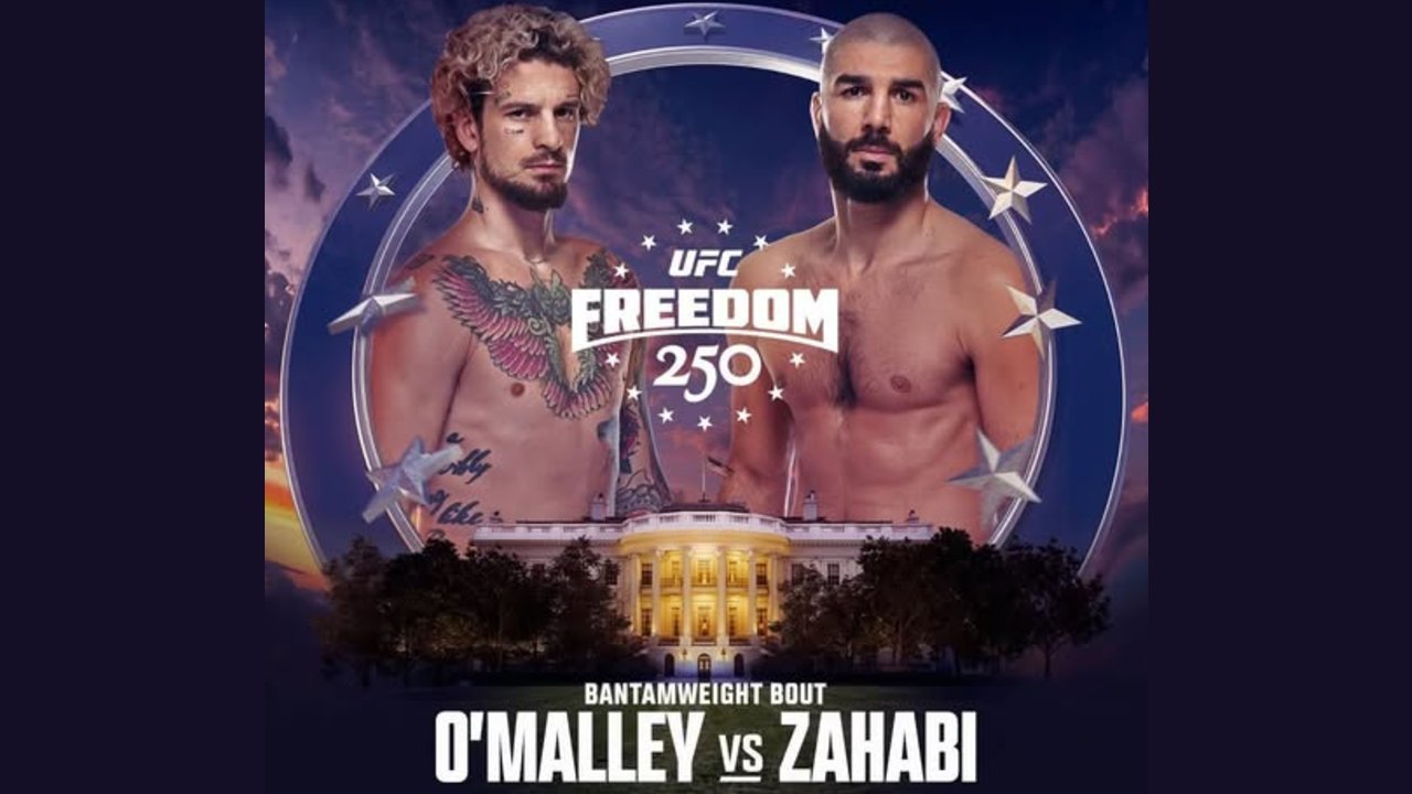 Pronostic O'Malley vs Zahabi